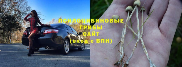 стафф Медвежьегорск