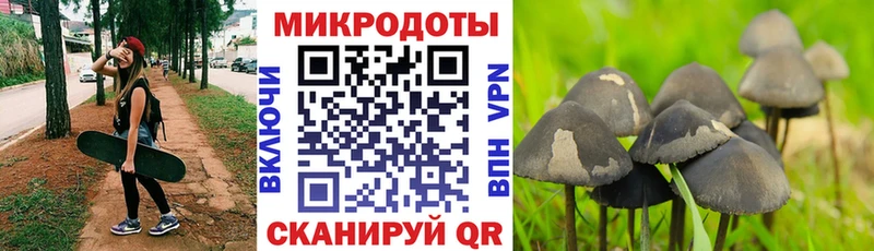 где купить наркотик  MEGA tor  Псилоцибиновые грибы Cubensis  Подпорожье 